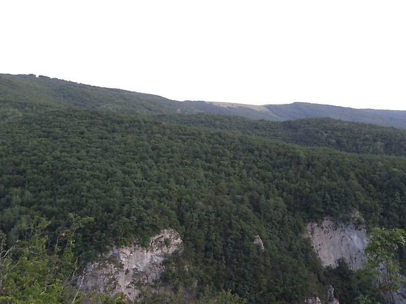 P8120230