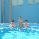 david