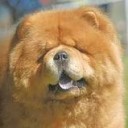 АНИМЕ_)) Винкс ЖИВОТНЫЕ