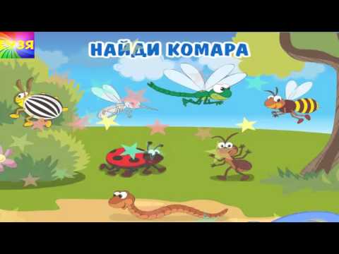 Учим животных